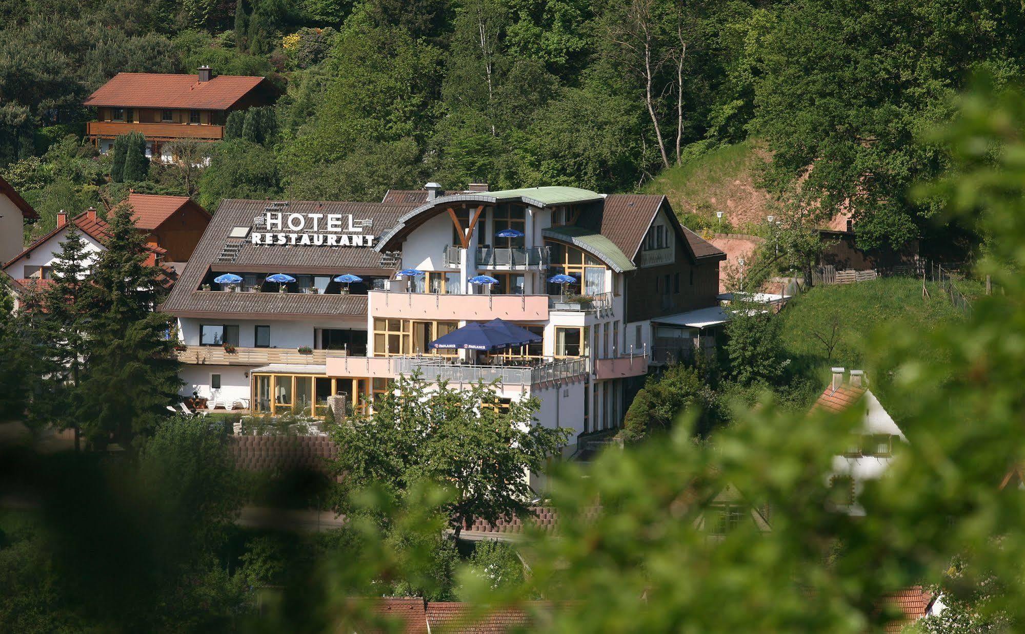 Hotel Am Hirschhorn - Wellness - Spa - And More Wilgartswiesen Εξωτερικό φωτογραφία